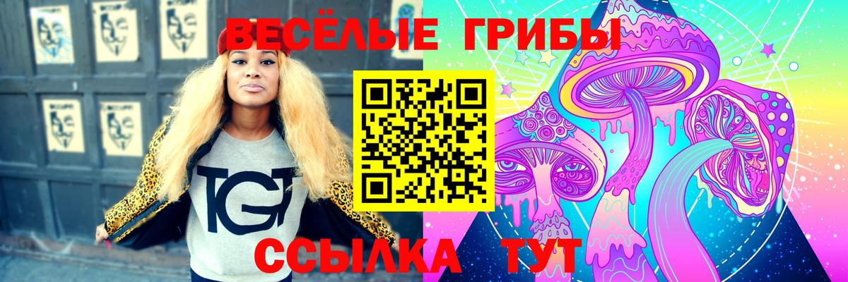 Галлюциногенные грибы мицелий  Вход с VPN  Псилоцибиновые грибы Psilocybe  Новоалександровск 