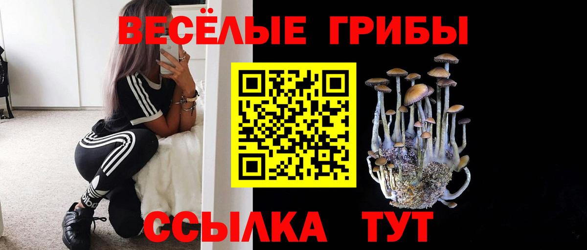 Псилоцибиновые грибы ЛСД Новоалександровск