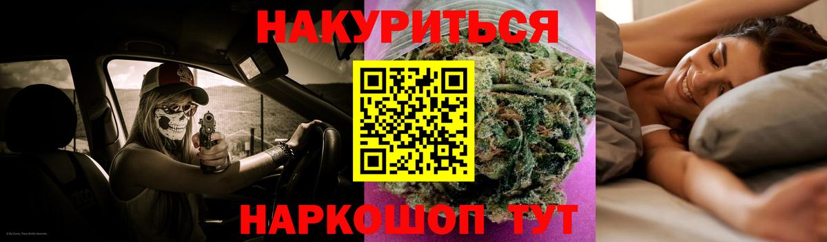 Каннабис план Новоалександровск